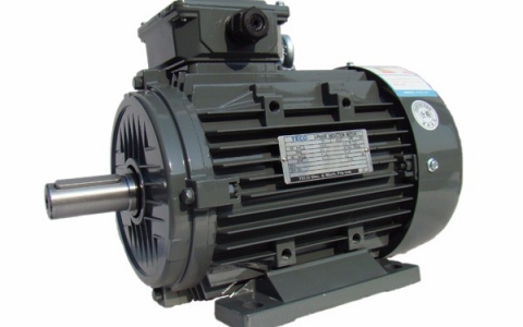 TECO Aluminum Motors