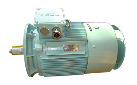 TECO Marine Series Motors